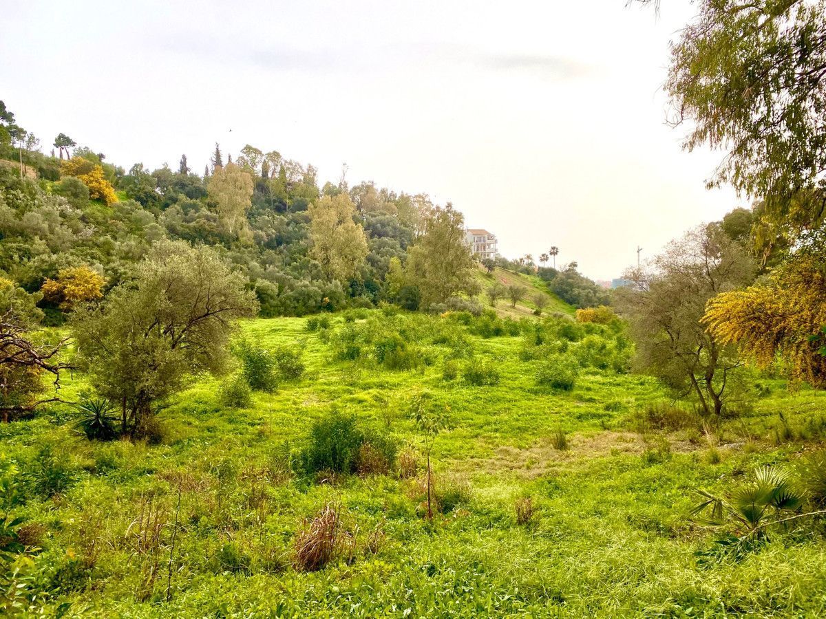 Terreno