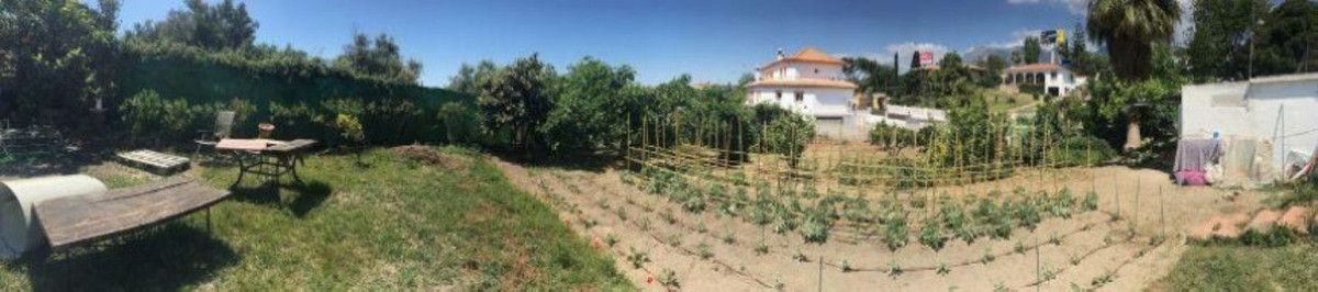 Terreno