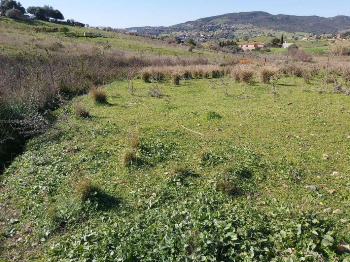 Terreno